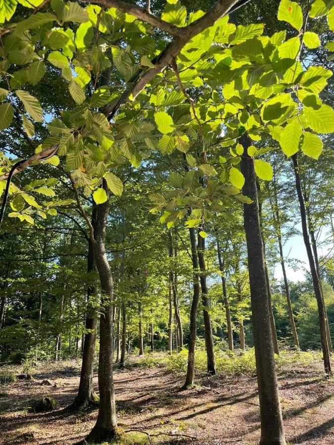 Naturglamping Kristianstad Esterno foto