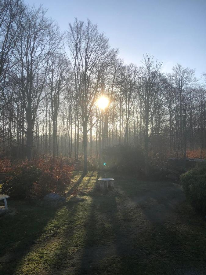 Naturglamping Kristianstad Esterno foto